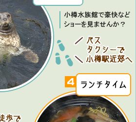 小樽水族館で豪快などショーを見ませんか？